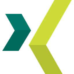 Xing | xkbox加速器